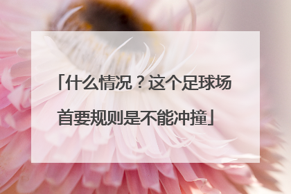什么情况？这个足球场首要规则是不能冲撞