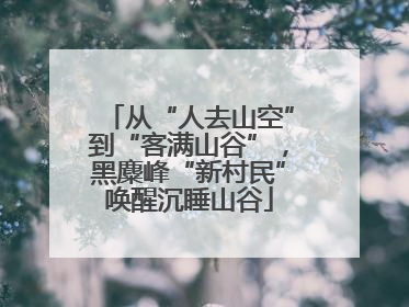 从“人去山空”到“客满山谷”，黑麋峰“新村民”唤醒沉睡山谷