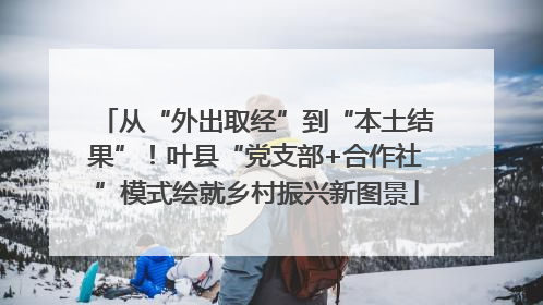 从“外出取经”到“本土结果”！叶县“党支部+合作社”模式绘就乡村振兴新图景