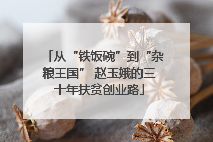 从“铁饭碗”到“杂粮王国” 赵玉娥的三十年扶贫创业路