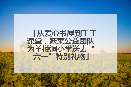 从爱心书屋到手工课堂，跃莱公益团队为羊楼洞小学送去“六一”特别礼物
