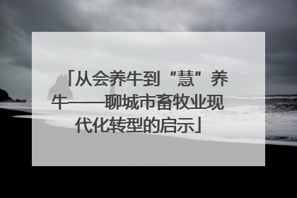 从会养牛到“慧”养牛——聊城市畜牧业现代化转型的启示