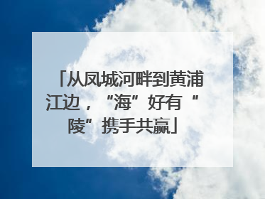 从凤城河畔到黄浦江边，“海”好有“陵”携手共赢