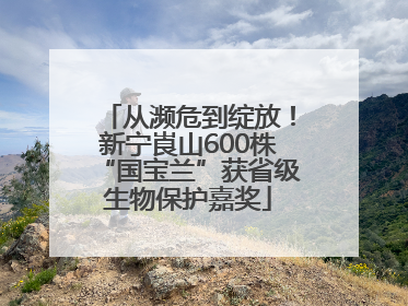从濒危到绽放！新宁崀山600株“国宝兰”获省级生物保护嘉奖