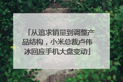 从追求销量到调整产品结构，小米总裁卢伟冰回应手机大盘变动