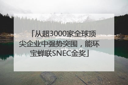从超3000家全球顶尖企业中强势突围，能环宝蝉联SNEC金奖