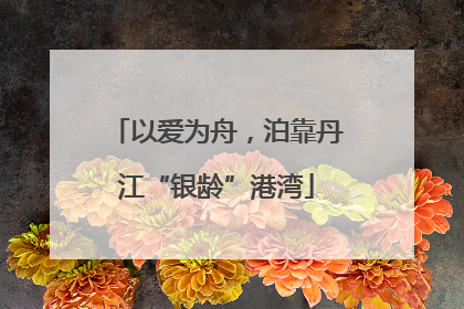 以爱为舟，泊靠丹江“银龄”港湾