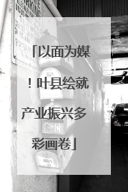 以面为媒！叶县绘就产业振兴多彩画卷