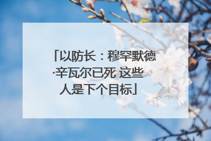 以防长：穆罕默德·辛瓦尔已死 这些人是下个目标