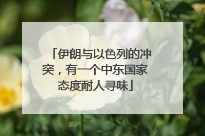 伊朗与以色列的冲突，有一个中东国家态度耐人寻味