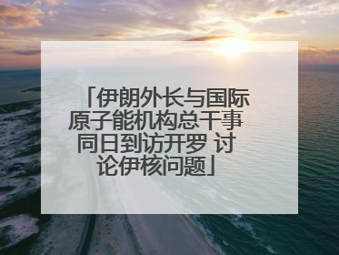 伊朗外长与国际原子能机构总干事同日到访开罗 讨论伊核问题