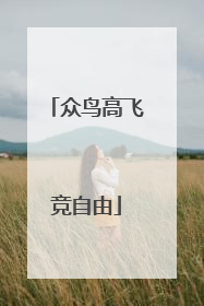 众鸟高飞竞自由