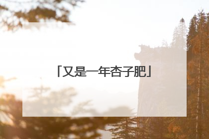 又是一年杏子肥