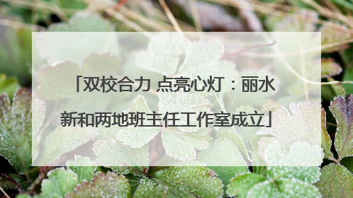 双校合力 点亮心灯：丽水新和两地班主任工作室成立