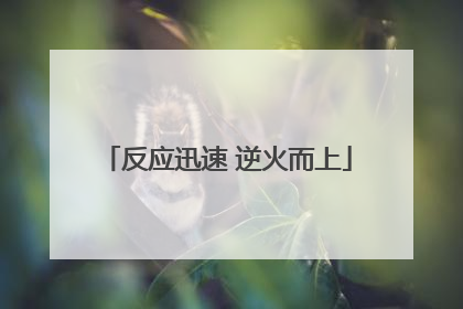 反应迅速 逆火而上