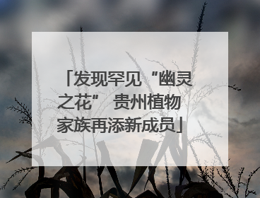 发现罕见“幽灵之花” 贵州植物家族再添新成员