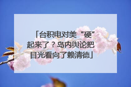 台积电对美“硬”起来了？岛内舆论把目光看向了赖清德