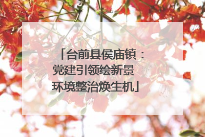 台前县侯庙镇：党建引领绘新景 环境整治焕生机