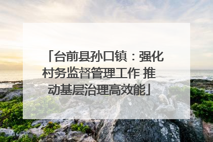 台前县孙口镇：强化村务监督管理工作 推动基层治理高效能