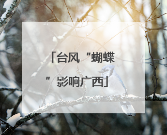 台风“蝴蝶”影响广西