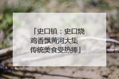 史口镇：史口烧鸡香飘黄河大集 传统美食受热捧