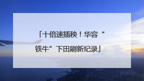 十倍速插秧！华容“铁牛”下田刷新纪录