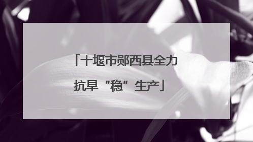十堰市郧西县全力抗旱“稳”生产