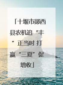 十堰市郧西县农机追“丰”正当时 打赢“三夏”促增收