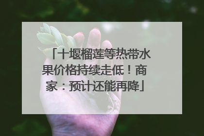 十堰榴莲等热带水果价格持续走低！商家：预计还能再降