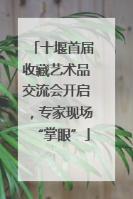 十堰首届收藏艺术品交流会开启，专家现场“掌眼”