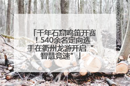 千年石窟鸣笛开赛！540余名定向选手在衢州龙游开启“智慧竞速”