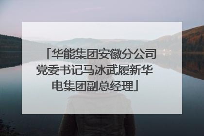 华能集团安徽分公司党委书记马冰武履新华电集团副总经理