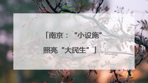 南京：“小设施”照亮“大民生”