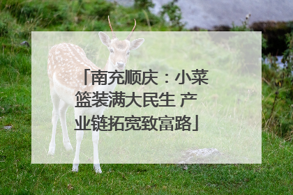 南充顺庆：小菜篮装满大民生 产业链拓宽致富路