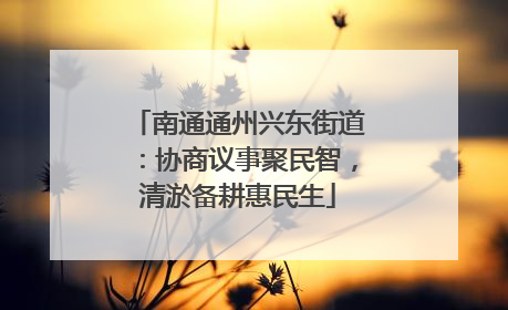 南通通州兴东街道：协商议事聚民智，清淤备耕惠民生