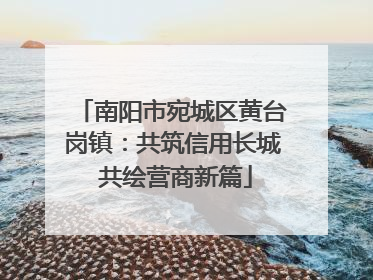 南阳市宛城区黄台岗镇：共筑信用长城 共绘营商新篇