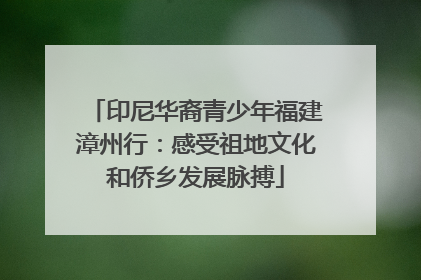 印尼华裔青少年福建漳州行：感受祖地文化和侨乡发展脉搏