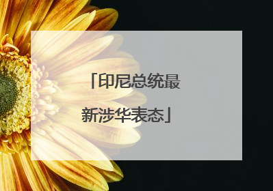 印尼总统最新涉华表态
