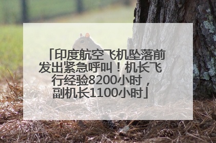 印度航空飞机坠落前发出紧急呼叫！机长飞行经验8200小时，副机长1100小时