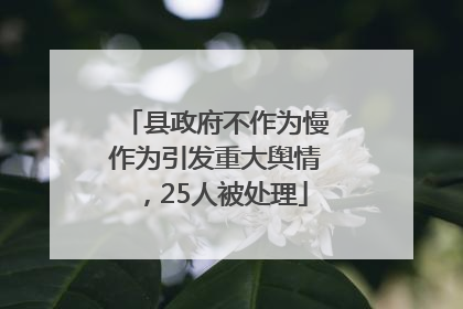 县政府不作为慢作为引发重大舆情，25人被处理