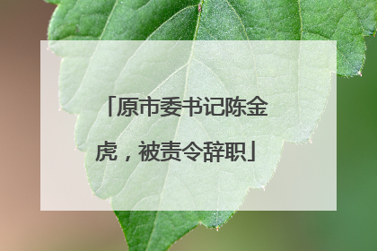 原市委书记陈金虎，被责令辞职