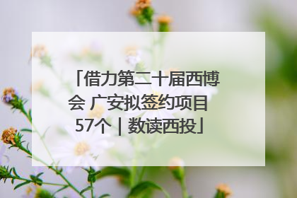 借力第二十届西博会 广安拟签约项目57个｜数读西投