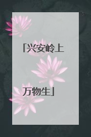 兴安岭上万物生