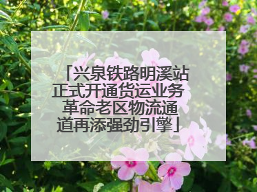 兴泉铁路明溪站正式开通货运业务 革命老区物流通道再添强劲引擎
