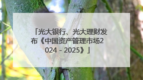 光大银行、光大理财发布《中国资产管理市场2024－2025》