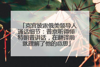 克宫披露俄美领导人通话细节：普京听得懂特朗普讲话，在翻译前就理解了他的意思
