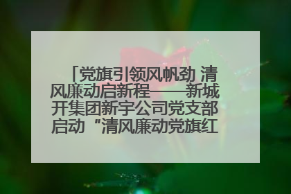 党旗引领风帆劲 清风廉动启新程——新城开集团新宇公司党支部启动“清风廉动党旗红”系列活动
