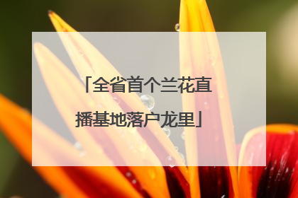 全省首个兰花直播基地落户龙里