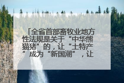 全省首部畜牧业地方性法规是关于“中华熊猫猪”的，让“土特产”成为“新国潮”，让“农产品”升格为“城市IP”