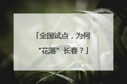全国试点，为何“花落”长春？